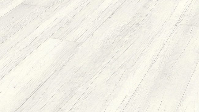 Дуб Крестон белый