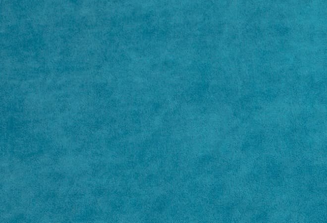 Ткань Тедди 133