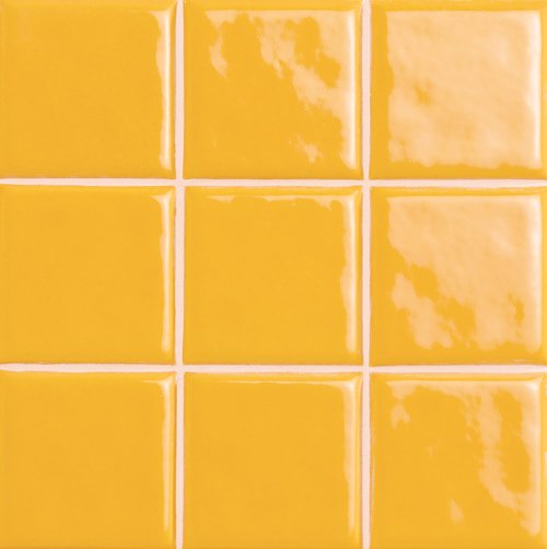 Marca Corona 10x10 декор подсолнух