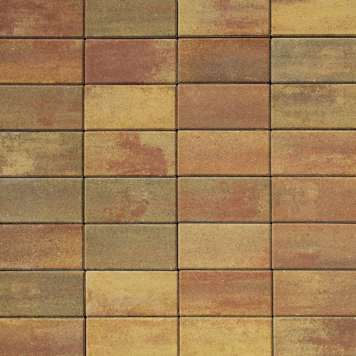 Тротуарная плитка осенний листопад