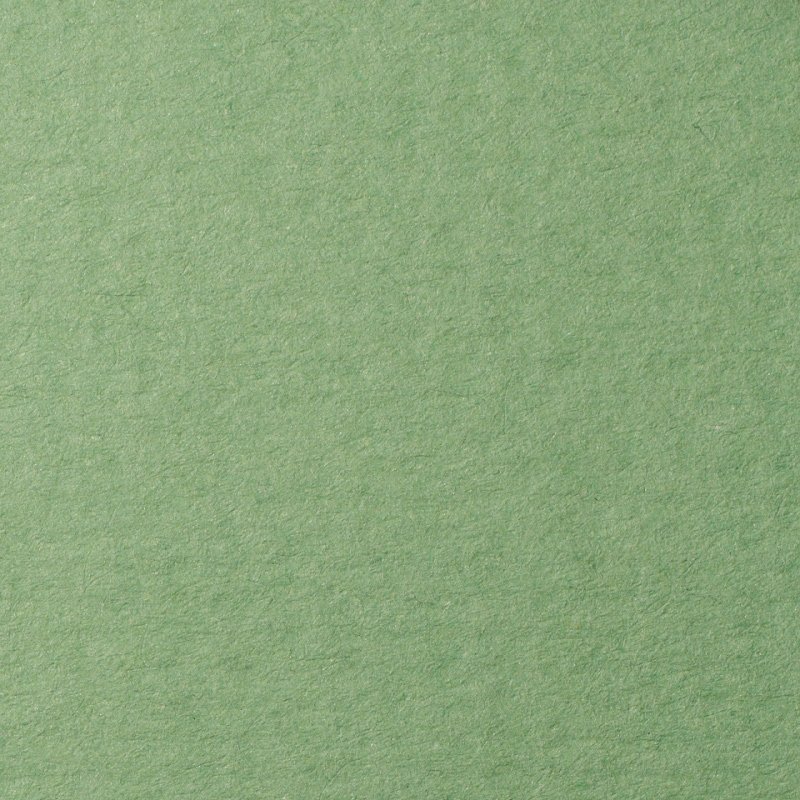 Светло зеленый цвет