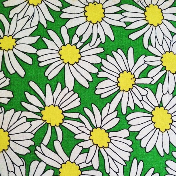 Фактура ромашки