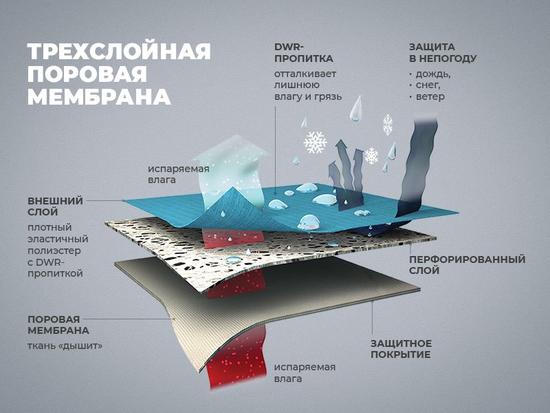 Поровая мембрана