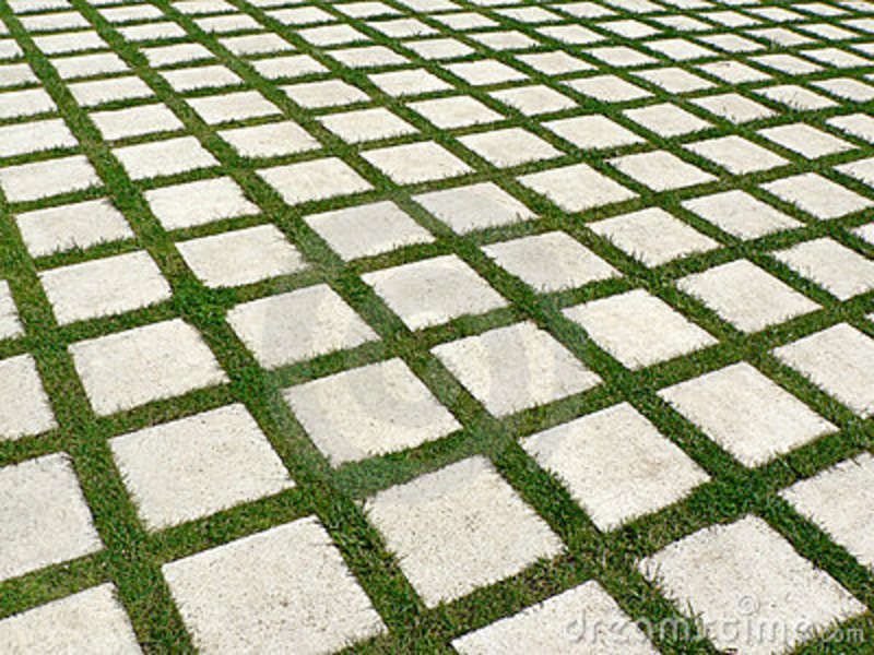 Клевер экопарковка