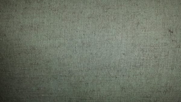 11293 СКПВ льняная ткань