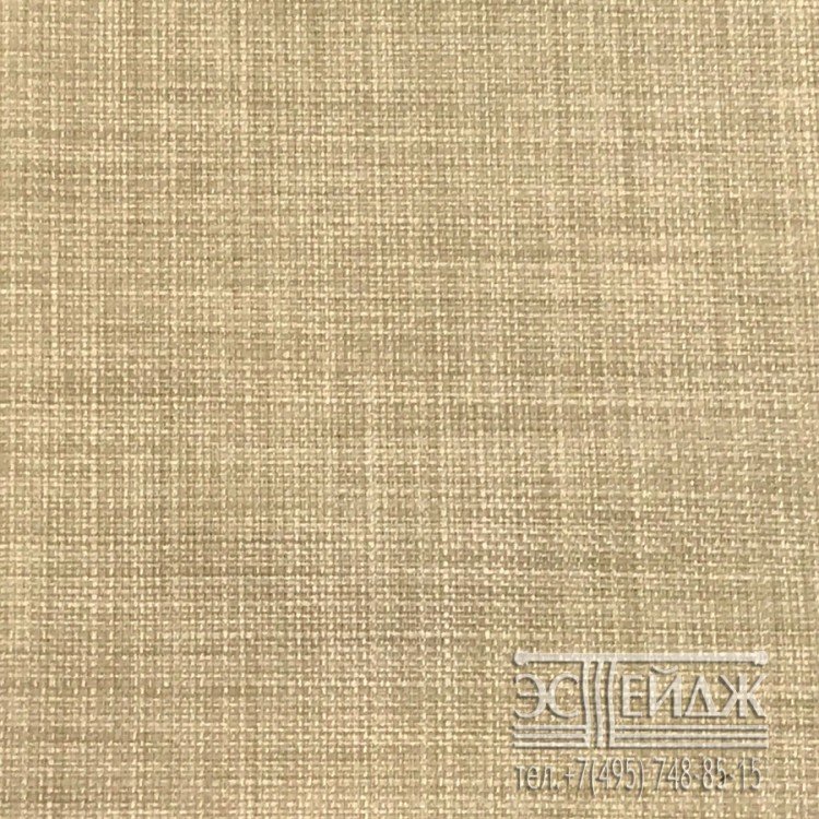 Текстура болотного цвета