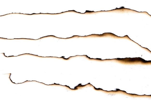 Рваный край бумаги