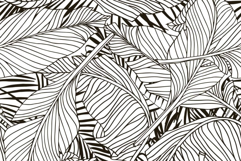 Паттерны листья