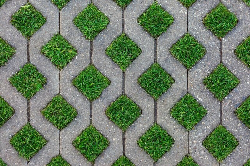 Экопарковка газонная решетка текстура