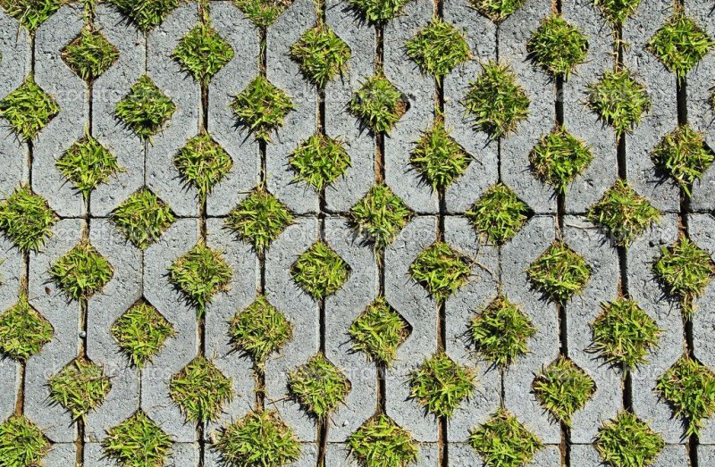 Экопарковка газонная текстура