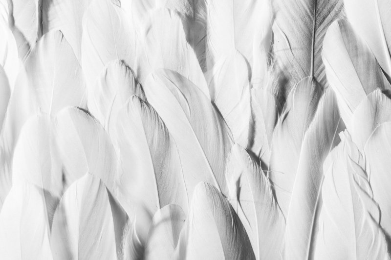 Белая текстура