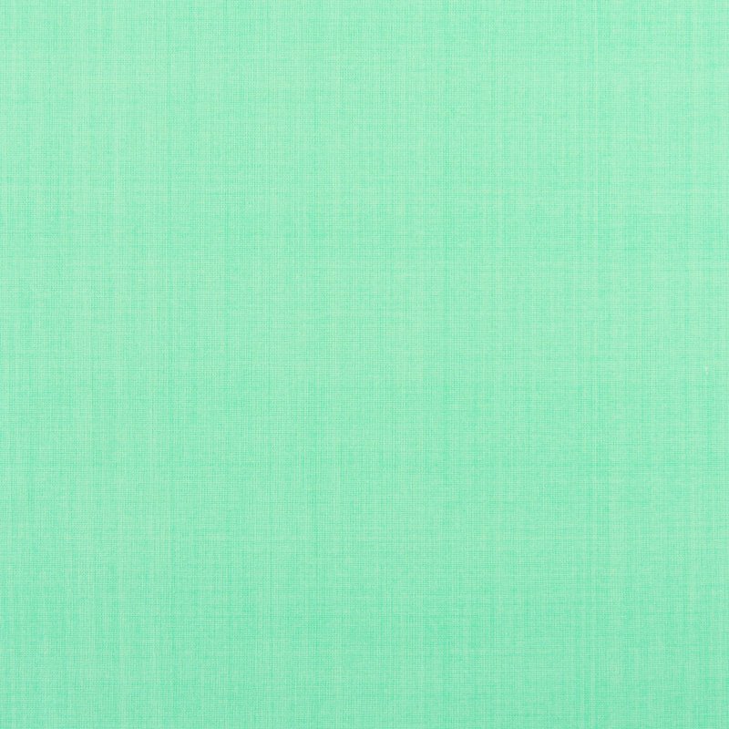 Цвет зеленой мяты