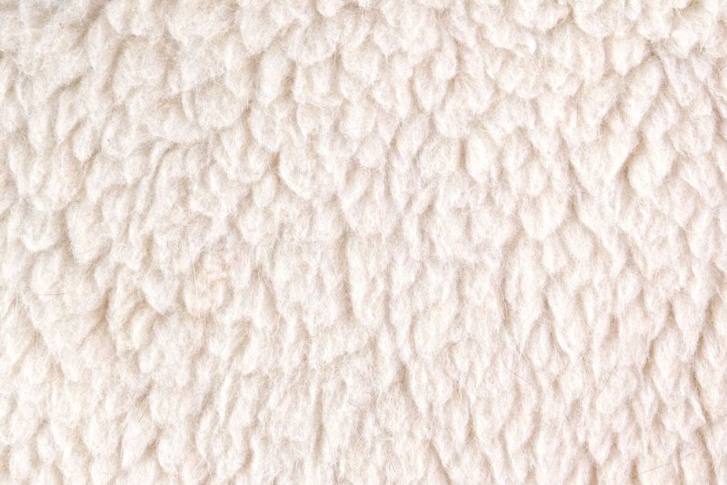 Фактура шерсти овцы