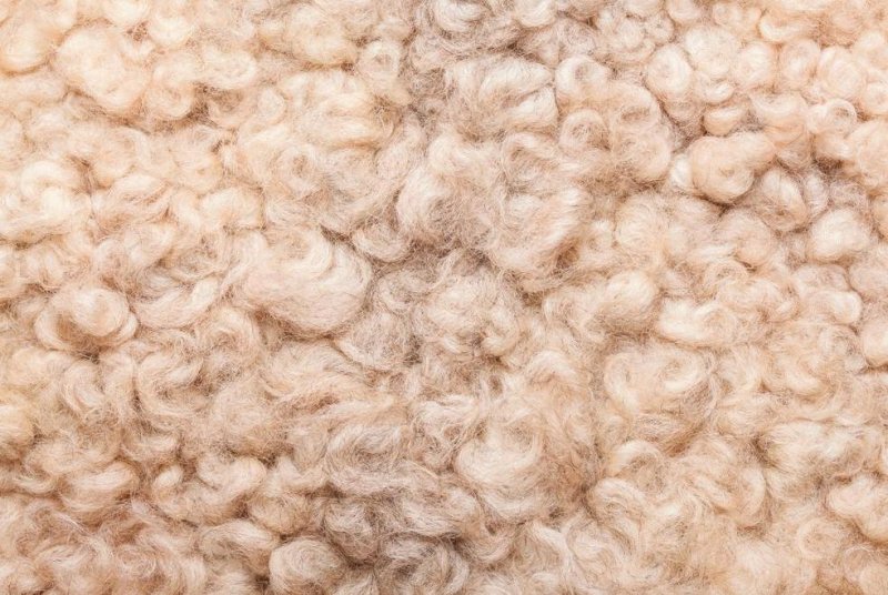 Овечья шерсть фактура