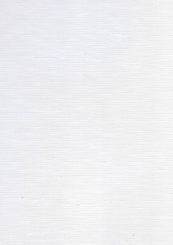 Белый холст