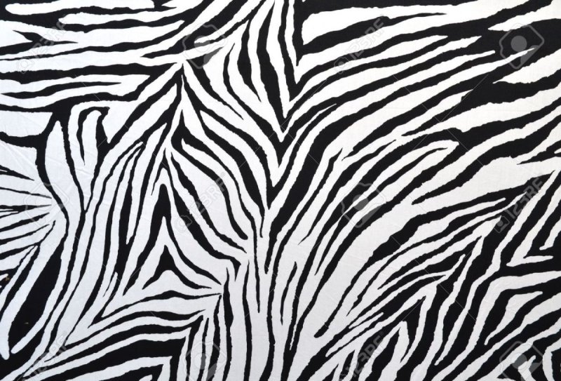 Рисунок Зебра на ткани