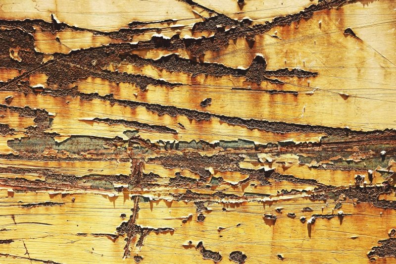 Потертости на дереве