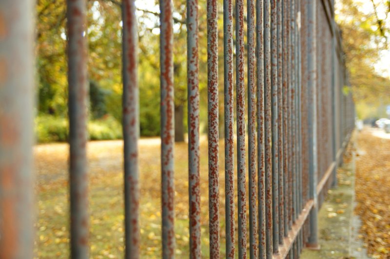 Старый забор