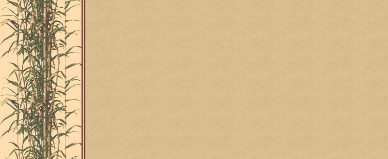 Бежевый фон вертикальный