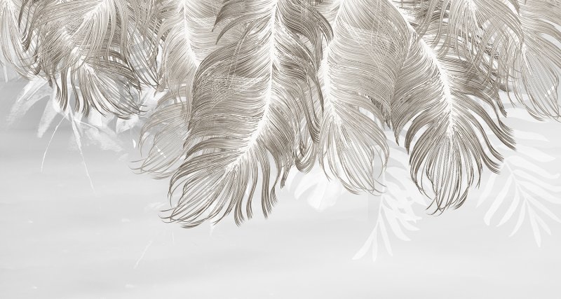 Обои перья