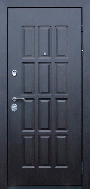 Входная дверь Техно 1032 металлическая