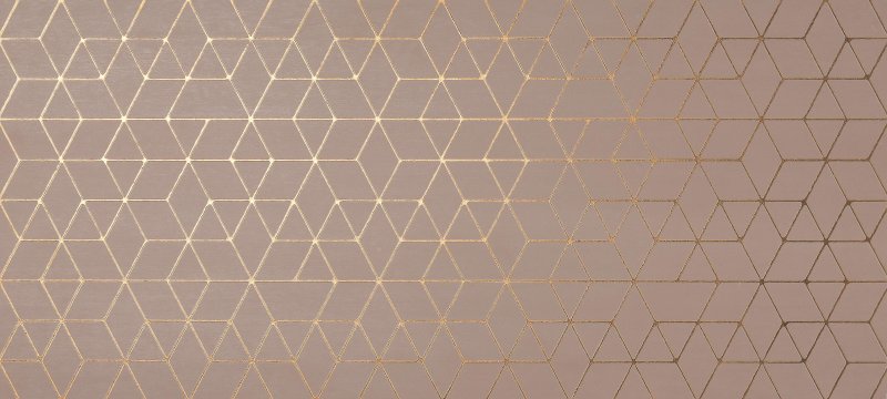 Настенная плитка Mek Rose 50x110 от Atlas Concorde (Италия