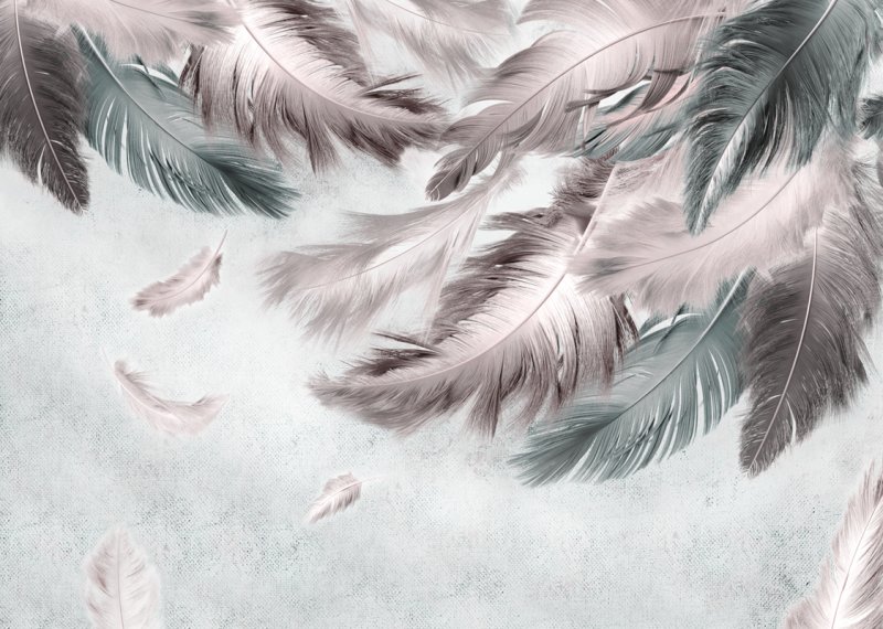 Фотообои перо