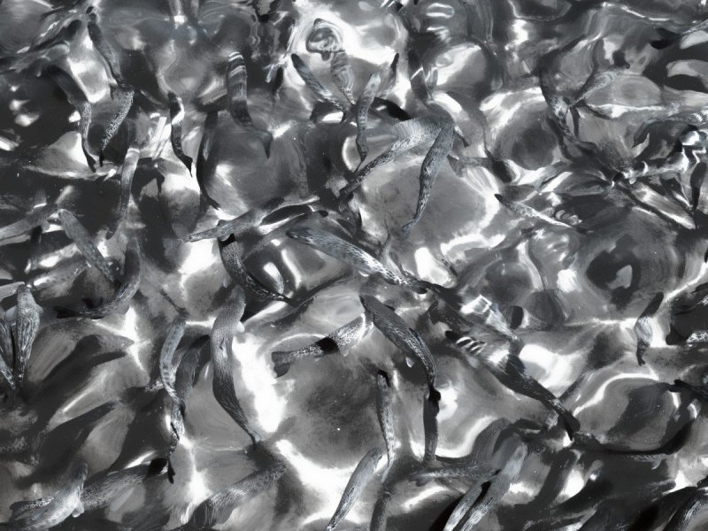 Хромированный металл