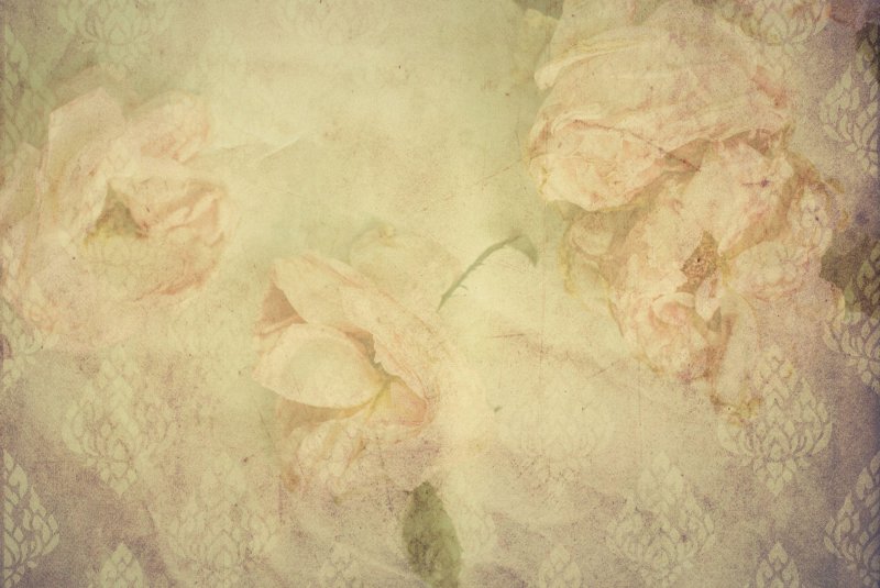 Красивый бежевый фон