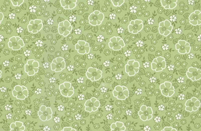 Зеленый фон с узорами