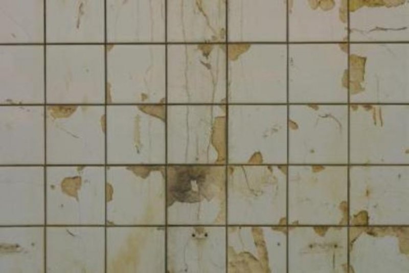 Плитка на стену текстура