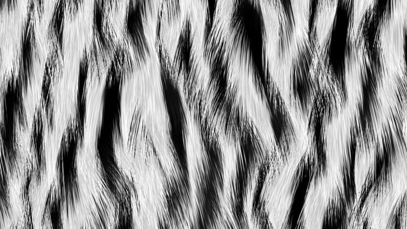 Белая шерсть текстура