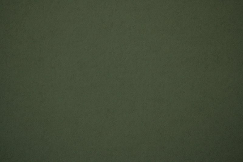 Болотный цвет acb78e