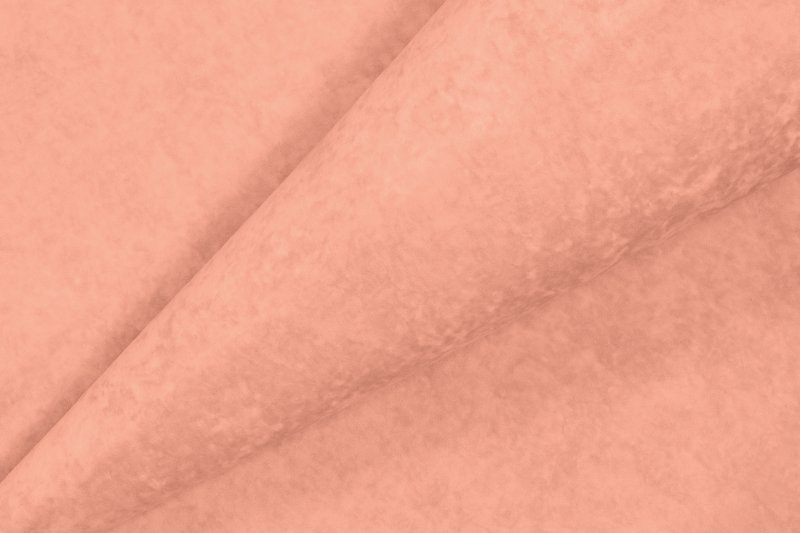 Тедди 026 Эгида