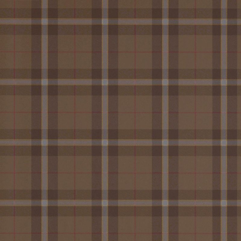 Коричневая клетка