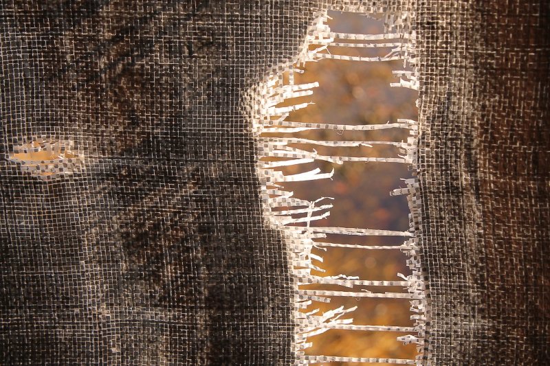 Рваная ткань текстура