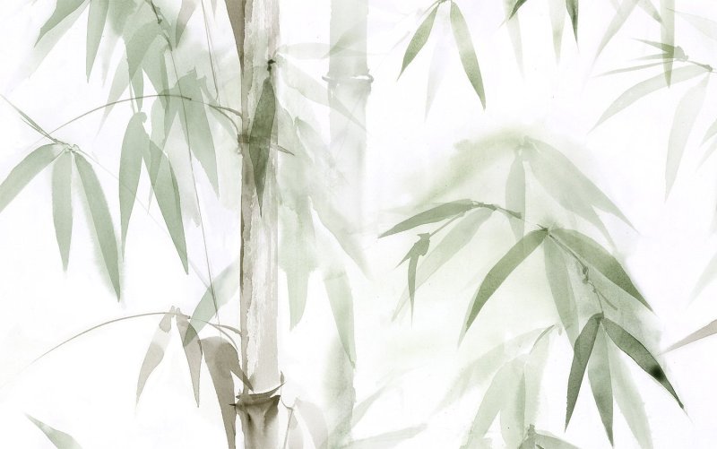 Обои рисунок бамбук