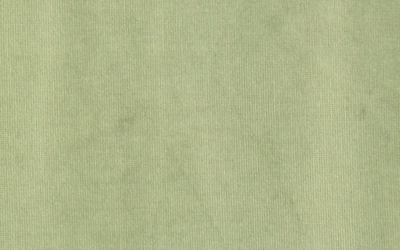 Вельвет Люкс 81