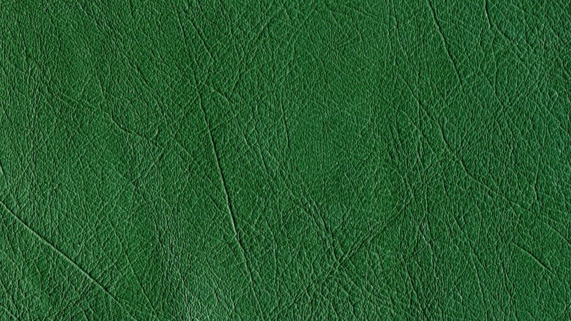Зеленая текстура