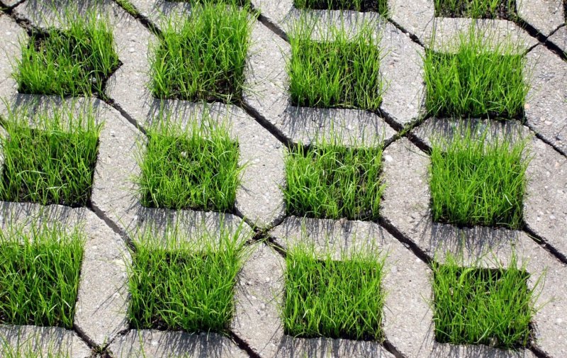 Экопарковка бетонная фактура