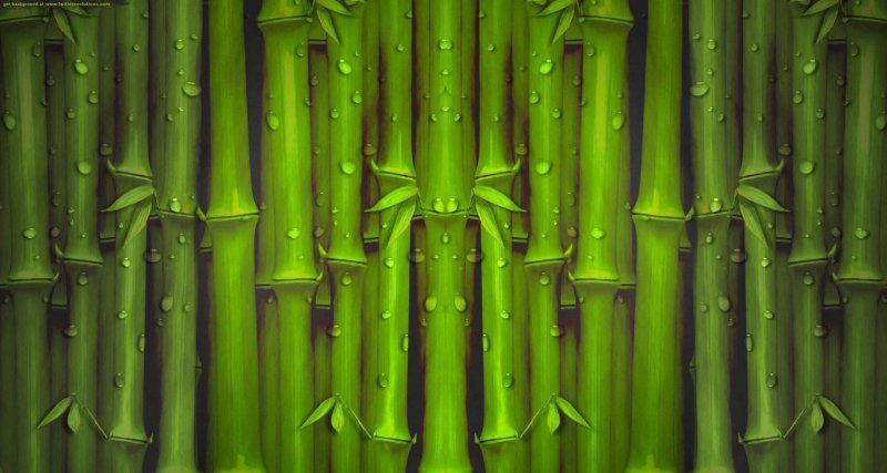 Бамбук текстура