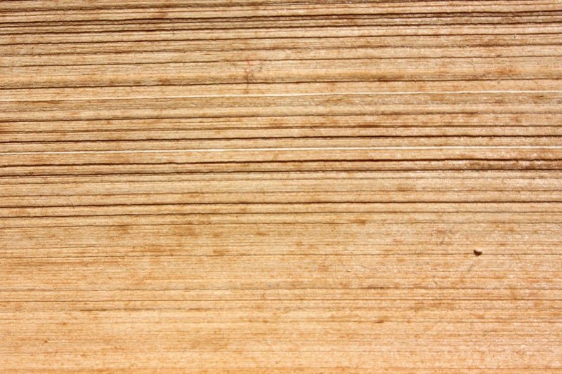 Текстура листов книги