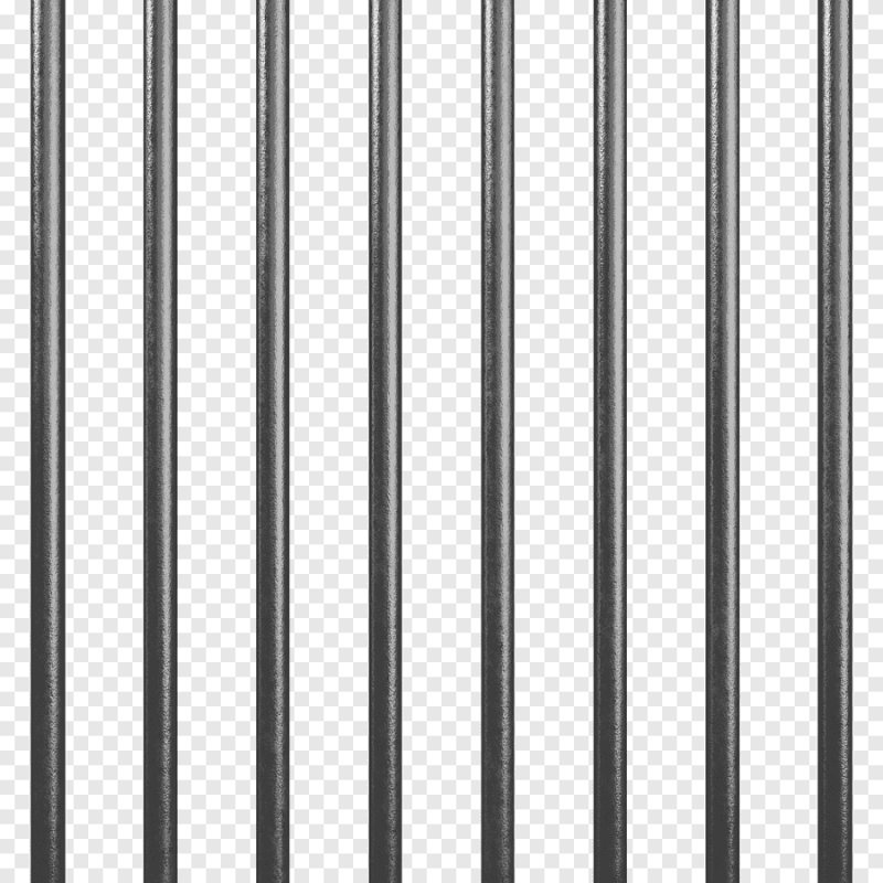 Prison Bars