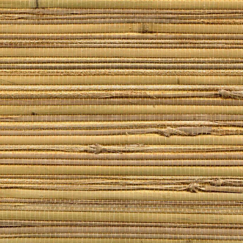 Обои натуральные Cosca тростник