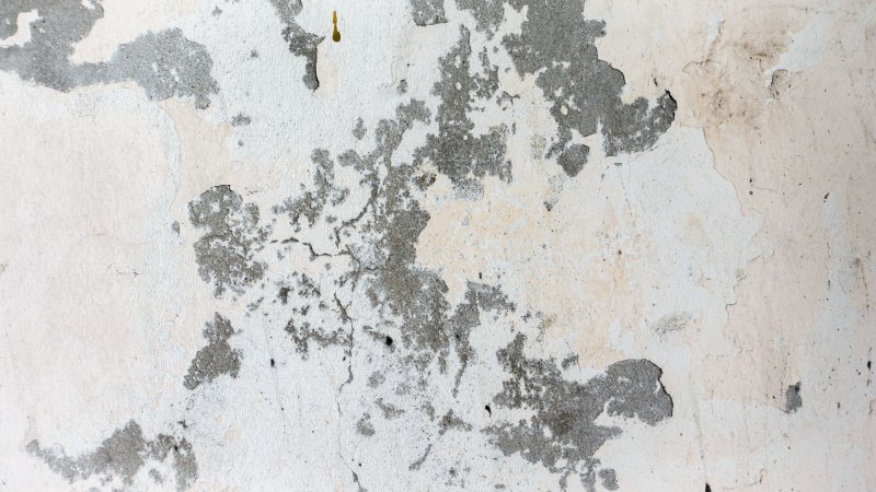 Старая штукатурка текстура