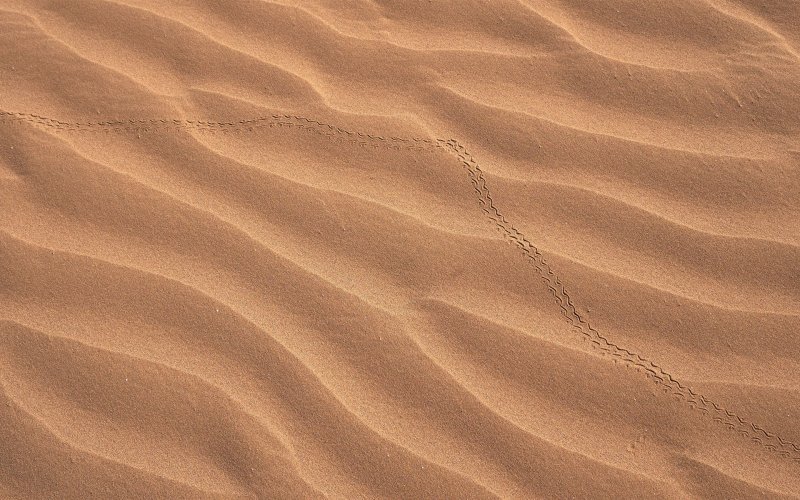 Текстура песка бесшовная