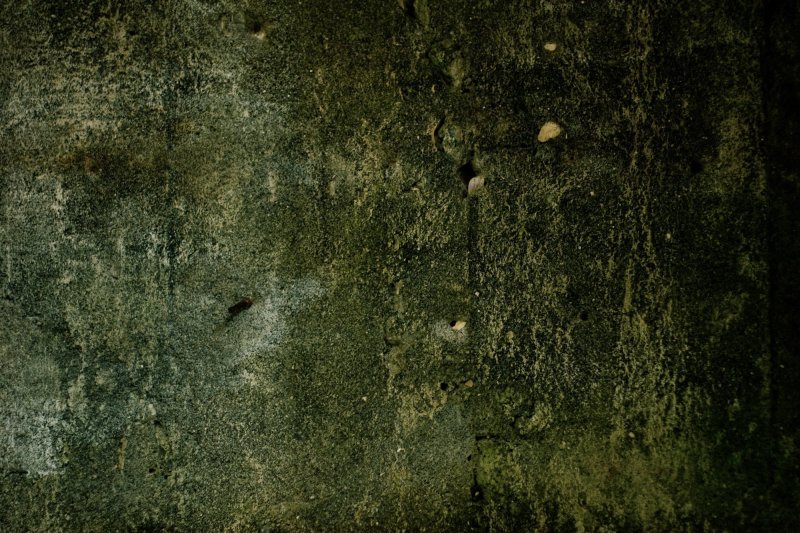 Грязно зеленый цвет