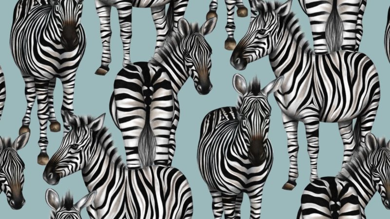 Расцветка Зебра