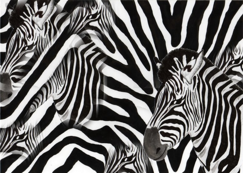 Анималистический принт