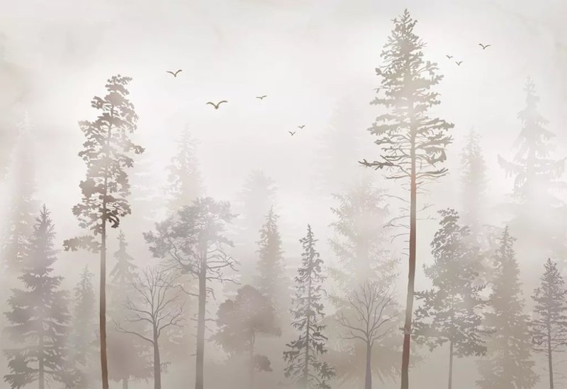 Сосны в тумане